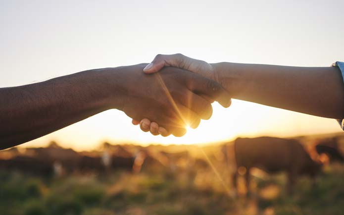 helping-hands-shutterstock_2346232375