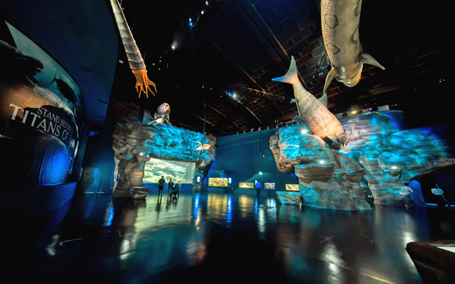 DSC06134_Singapore-Oceanarium_640