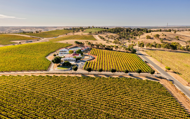 Barossa valley vineyards_shutterstock_2489778957_640